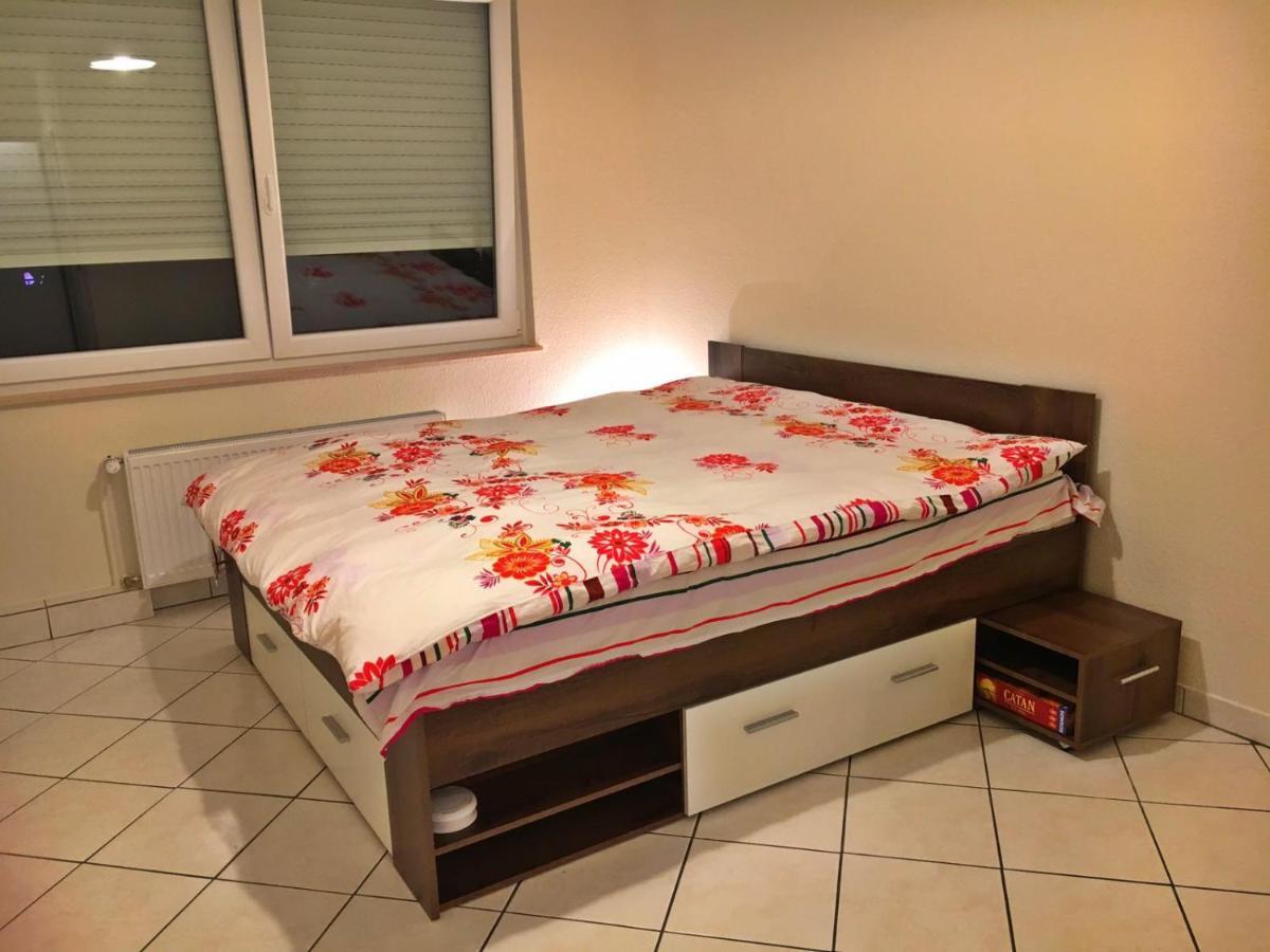 Cozy Studio Apart - King Bed - Netflix - Projector - Fast Wi-Fi Luxembourg Extérieur photo